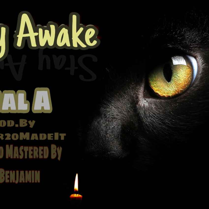 Stay Awake by Real A cover art