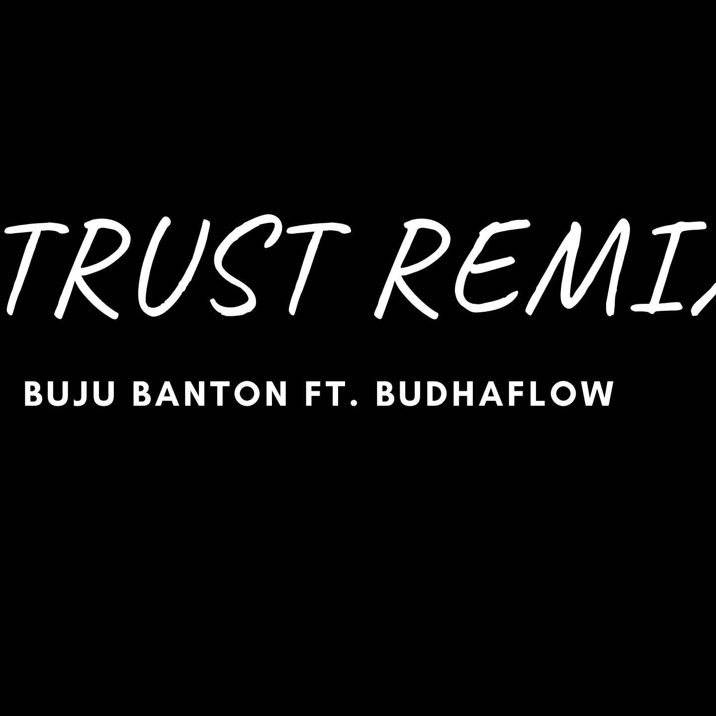 TRUST REMIX (BUJU BANTON) by Budhaflow cover art