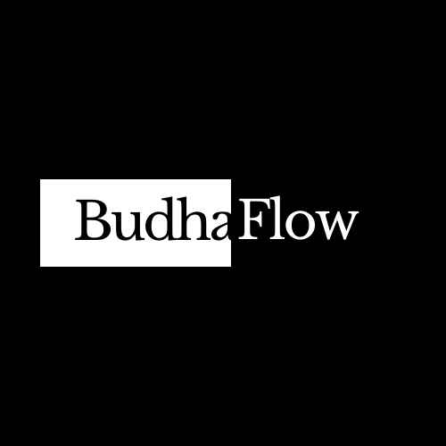 ONE SHOT(HOT DIS YEAR RIDDIM) by Budhaflow cover art