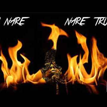 NI NARE by Nare Truly cover art