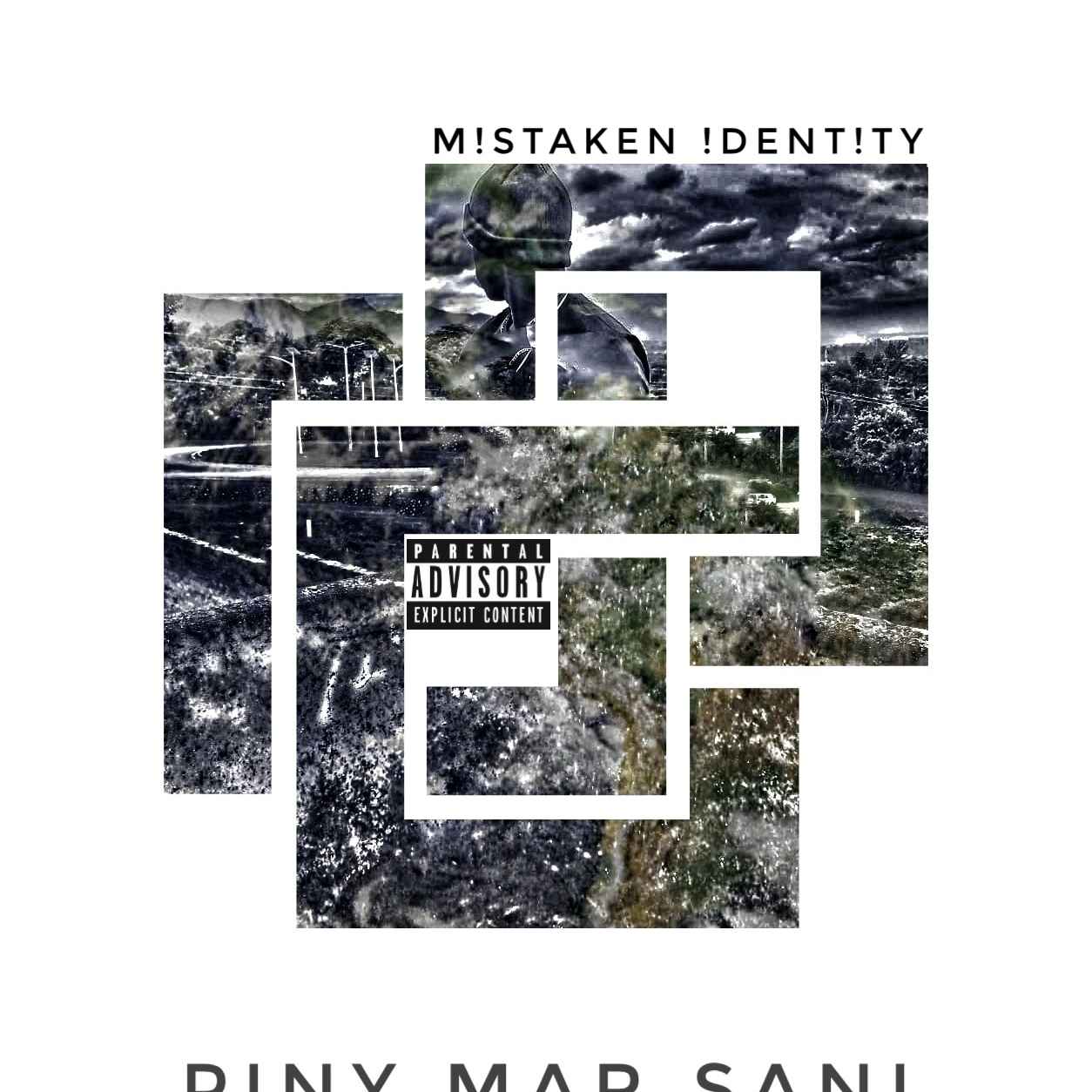 PINY MAR SANI by Mistaken Identity cover art